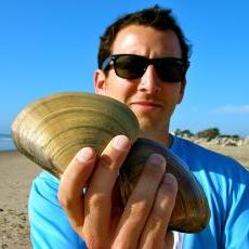 尼克在海滩上拿着蛤壳